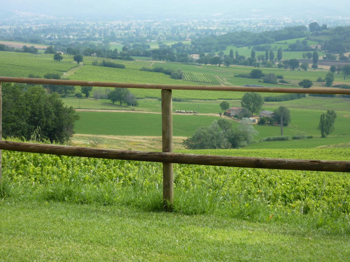 Genius Loci Country Inn Беванья Экстерьер фото